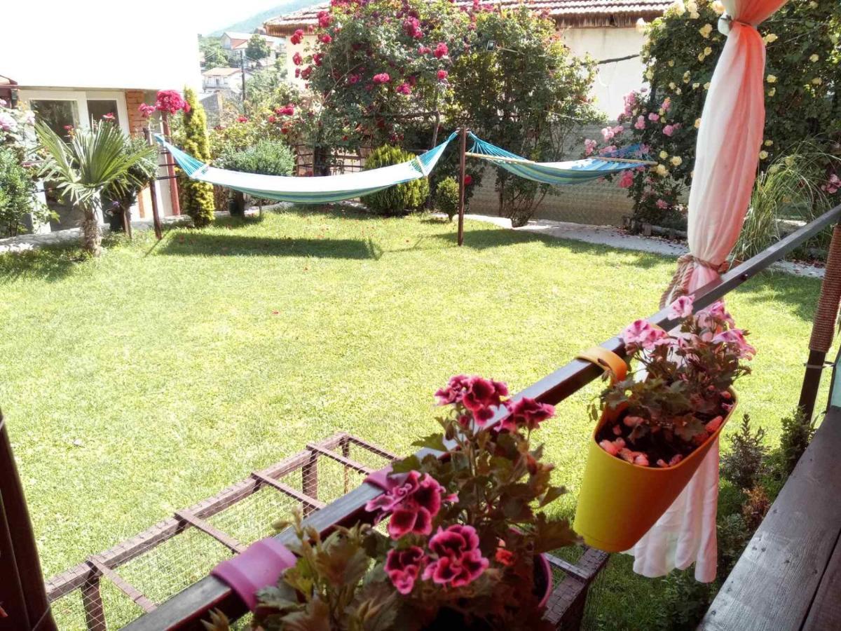 Yard House Trpejca Hotel Ohrid Buitenkant foto